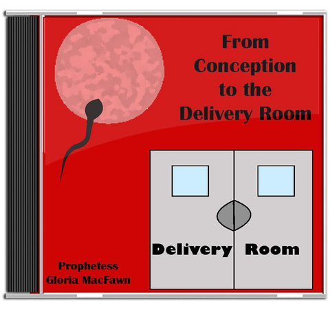 From Conception to the Delivery Room